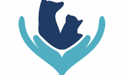 Residencia canina 3 patas